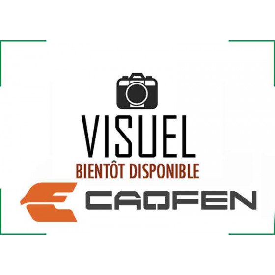 Chargeur 72V 18 Ah Caofen F80