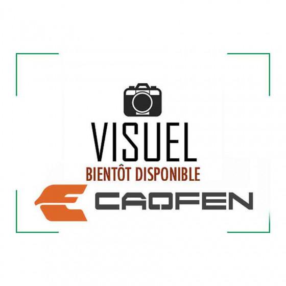 Piece détachée Caofen F80