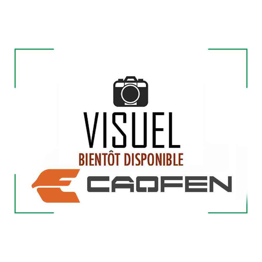 Piece détachée Caofen F80