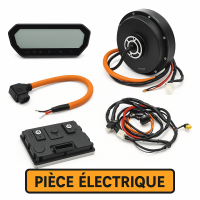 Pièce électrique Piece Caofen, Pièce détachée moto électrique